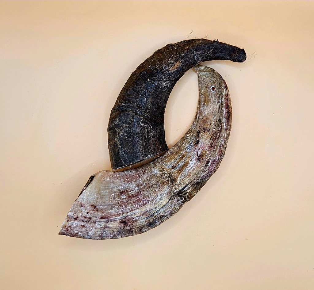 NaHuKa Natur Leckerli - Heidschnucken Hörner klein