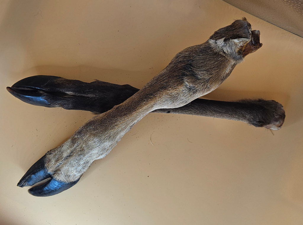 NaHuKa Natur Leckerli - Hirschunterbein mit Fell