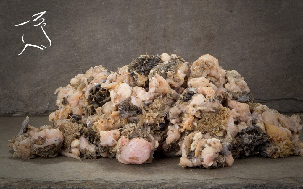 BARF Rinderpansen grün 500g - Pansen pur