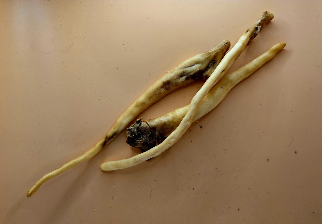 NaHuKa Natur Leckerli - Lammschwänze lose