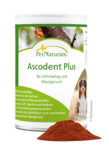 [PN303020] PerNaturam Ascodent Plus 100g