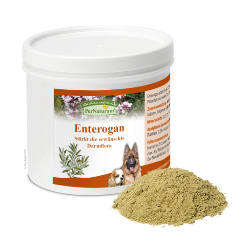 [PN302003] PerNaturam Enterogan 100g