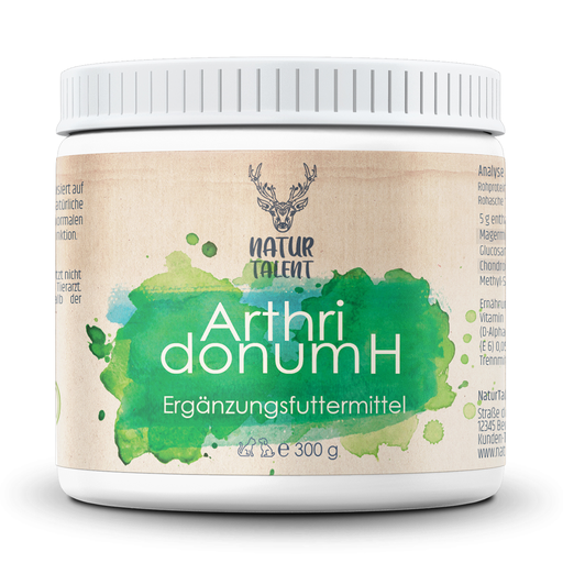 [NT100001] Heilkraft - Arthridonum H - Das Geschenk für die Gelenke 300g