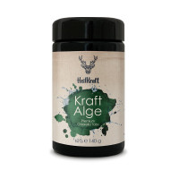 [NT550001 ] Heilkraft - Kraftalge Chlorella Tabs 140 g