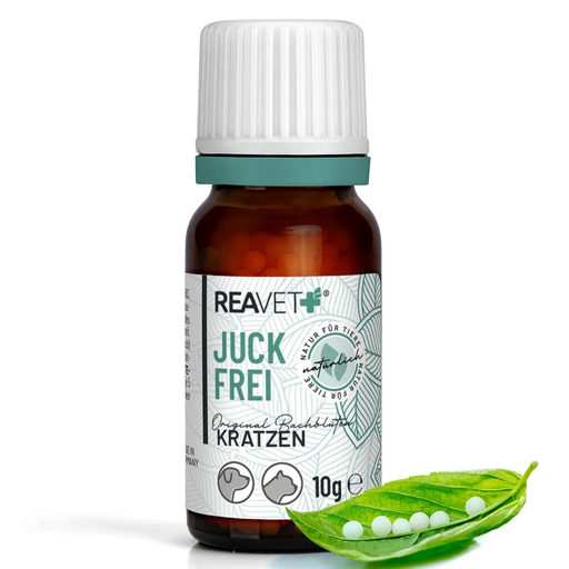 [RV220370-0010] REAVET Bachblüten Globuli - Juckfrei 10g für Hunde und Katzen