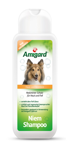 [Amigard-31] Amigard Niem Shampoo 250ml