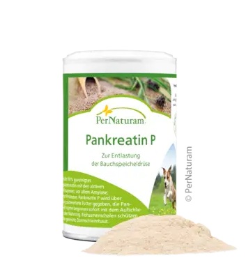 [PN307006] PerNaturam Pankreatin P 100g