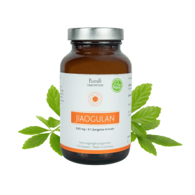 [P0008596] PlantaVis - Jiaogulan Extrakt (Unsterblichkeitskraut) 500mg